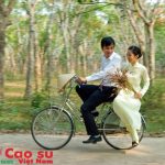Mùa Xuân từ vườn cao su