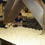 VRG tiết giảm 15% - 30% chi phí chế biến năm 2015