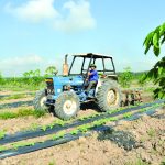 Tiết giảm chi phí, hạ giá thành sản phẩm: Những kết quả bước đầu