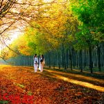 Mùa xuân gọi tên Em
