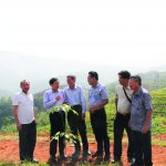 Mở miệng cạo cây cao su là sự kiện có ý nghĩa lớn đối với đồng bào Tây Bắc