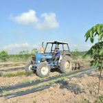 Tiết giảm suất đầu tư: Từ chủ trương đến thực tiễn