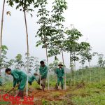 Hăng hái ra quân ngày đầu năm