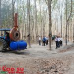 Cao su Kon Tum: Tiết giảm chi phí nông nghiệp nhưng vẫn đạt hiệu quả cao