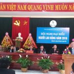 Cao su Quảng Trị: Tái canh trên 580 ha năm 2015