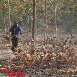 Tập trung cao độ phòng chống cháy