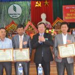 Các công ty cao su miền Trung phải luôn vững vàng trong mọi khó khăn