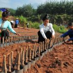 Tiết giảm suất đầu tư có hiệu quả nhờ trách nhiệm và đồng thuận