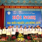 Cao su Tây Ninh tiết giảm 31% suất đầu tư nông nghiệp