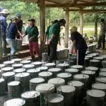 Cao su Quảng Trị: Đẩy nhanh tiến độ tái cơ cấu vườn cây