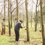 Người trồng cao su nỗ lực giữ vườn cây