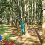 Cầu cho mưa thuận gió hòa