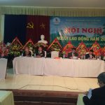 Cao su Yên Bái: Chăm sóc tốt vườn cây trồng mới
