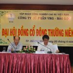 Thủy điện VRG Bảo Lộc chia cổ tức 16%
