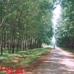 Thời trận mạc