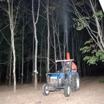 Thầm lặng trong đêm đối phó phấn trắng