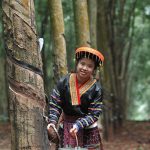 Tăng tỷ lệ nữ tham gia vào bộ máy lãnh đạo