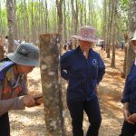 Cạo D4 thể hiện sự vượt trội