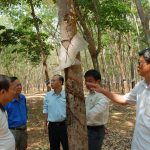 Nơi người dân tộc Sơ Rá đặt niềm tin