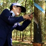 Cần tích cực và quyết liệt hơn trong cổ phần hóa