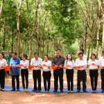 Đồng Nai - Kratie mở miệng cạo 200 ha cao su