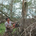 Cao su Mang Yang khắc phục hậu quả lốc xoáy