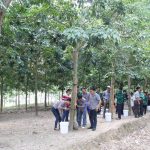 Cao su Sơn La phối hợp tốt đảm bảo an ninh trật tự