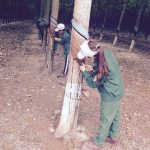 Quyết gắn bó với nghề đến khi nghỉ hưu