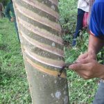 Chuẩn bị khơi dòng vàng trắng nơi Tây Bắc