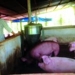 Người cán bộ Công đoàn Giỏi việc nước - Đảm việc nhà