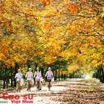 Ký ức tuổi thơ