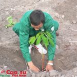 VRG sẽ tiết giảm 313 tỷ đồng suất đầu tư trong năm 2016