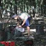 Ký ức tuổi thơ
