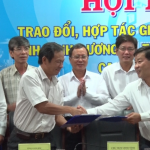 Bình Dương cần trên 1.800 ha đất cao su để phát triển kinh tế xã hội
