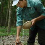 Quý IV mới xem xét điều chỉnh kế hoạch sản lượng