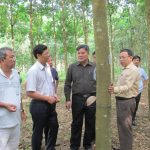 VRG - Điện Biên: Sớm thống nhất tính pháp lý của hợp đồng góp đất