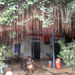 Nhà đội tôi yêu
