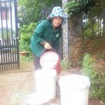Giá mủ thấp, tiểu điền vẫn mở cạo