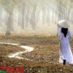 Miền nỗi nhớ