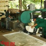 Xây dựng tiêu chuẩn quốc gia về nguyên liệu mủ cao su: Không thể chậm trễ