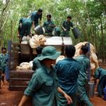 Phát huy truyền thống vàng son