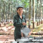 Rà soát, điều chỉnh kế hoạch 2016