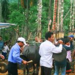 Người Ka Dong cúng lúa mới: Cảm tạ thần linh, mong điều tốt lành