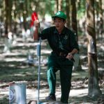 Sôi nổi Hội thi Bàn tay vàng lần thứ X