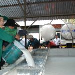 Sản xuất mủ SVR 10 rút gọn là việc cấp thiết