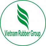 Lợi nhuận của VRG xếp thứ 4/10 Tập đoàn, TCT Nhà nước