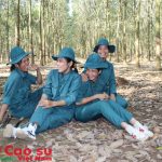 Xanh màu ước mơ