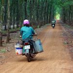 Mừng Đảng, mừng Xuân, mừng nông thôn mới