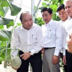 Ngành nông nghiệp sẽ chuyển mình mạnh mẽ năm 2017