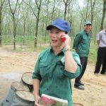 Những bông hồng trên vườn cây ngày 8/3